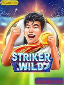 Explorando o Mundo Emocionante de StrikerWILD